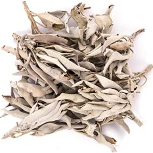 SALVIA BLANCA X 50GR